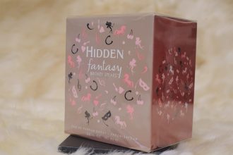 HIDDEN Fantasy Britney Spears